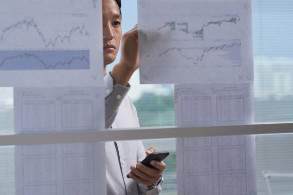 Bangladesh Bay Terminal E&S Analysis