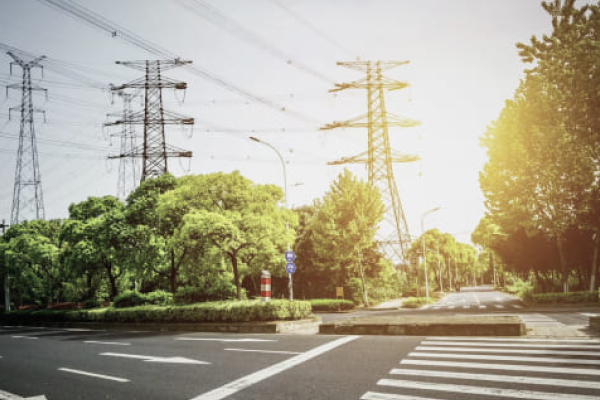 The Electricity Market of South Asia